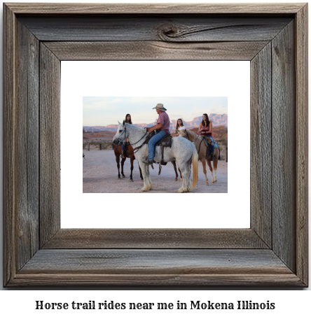 horse trail rides near me in Mokena, Illinois